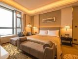 Luxury Suite