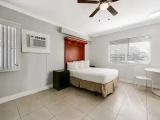 Standard Double room with pool view
