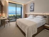 Superior Double room with balcony and with sea view