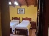 Economy Double room with garden view