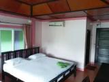 Standard Double room with garden view