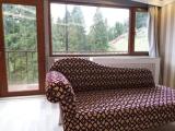 Standard Double room with balcony and with view