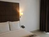 Standard Double room with garden view