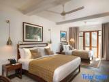 Deluxe Triple room with garden view