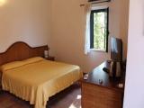 Standard Double room with balcony and with garden view