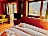 Standard Double room with mountain view