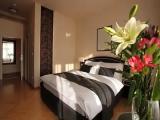 Luxury Apartment