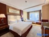 Standard Triple Family room