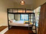 Classic room with garden view