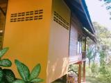 Standard Bungalow