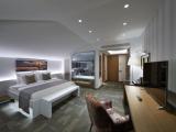 Business Double Suite with balcony and with hill view