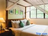 Duplex Suite