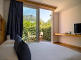Deluxe Double room with garden view