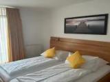 Standard Double room with balcony and with garden view