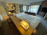 Deluxe Double room with mountain view