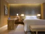 Premier Double room with river view