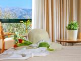 Standard Double room with balcony and with mountain view