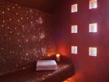 Single Suite