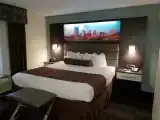 Deluxe Double Suite