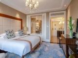 Deluxe Double room with city view