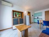 1 Bedroom Apartment with balcony and with view