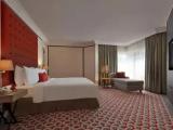 Executive Double Suite
