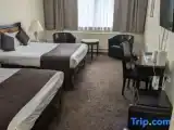 Standard Triple Family room