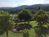 1 Bedroom Double Suite with garden view