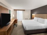 1 Bedroom Single Suite with park view
