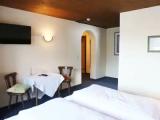 Standard Double room with mountain view