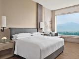 Deluxe Double room with mountain view