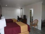 Quadruple Suite