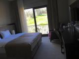 Standard Double room with balcony and with view