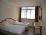 Standard Twin room with land view