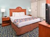 1 Bedroom Suite