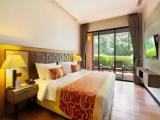 Premier Double room with balcony