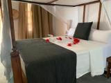 Standard room with pool view