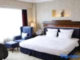 Ambassador Suite