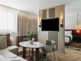 1 Bedroom Suite with view