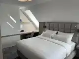 Superior Suite with park view