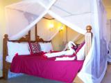 Standard Triple room with garden view