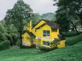 Family Villa