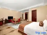 Junior Suite with city view