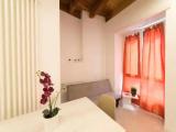 Basement Apartment