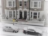 Run of House
