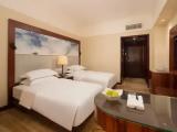 Deluxe room with city view