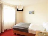 Standard Double room with balcony and with mountain view