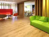 Single Studio