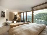 Superior Double room with mountain view