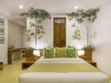 Superior Double room with balcony and with pool view